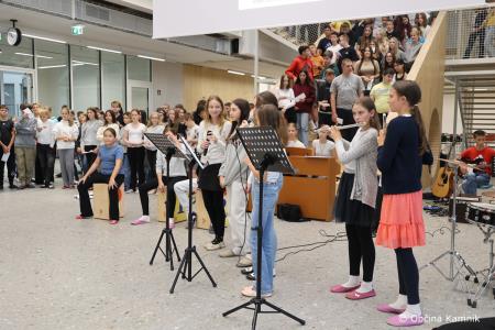 Nepozaben sprejem za bronasto Živo Lavrinc v rodnem Kamniku  (16)